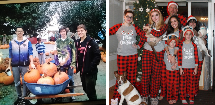 Norgate International Homestay Families