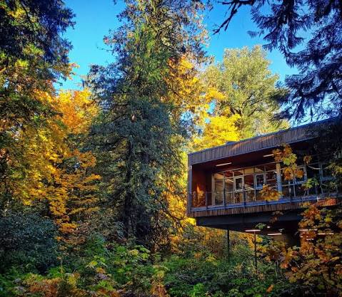 building in forest
